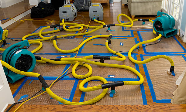 Professional Sewage Cleanup technician working in Lockport, KY